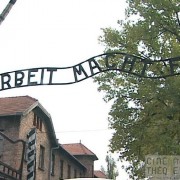 Auschwitz 1