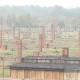 Auschwitz 3