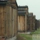 Auschwitz 3