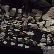 Fossilium 94 Villeneuve d'Ascq