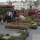 Marché aux Fleurs