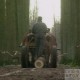 Elagage,débardage avec des chevaux "Trait du Nord"