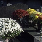 Toussaint à St André