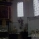 La chicorée