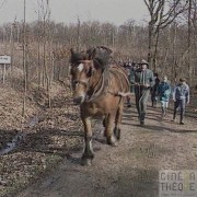 Débardage chevaux ferme pédagogique