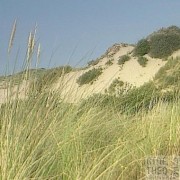 Dunkerque, Bray-Dunes, Hondschoote