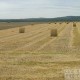 Paysages champs 5