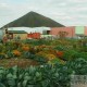 La Nature en ville