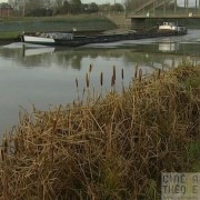 Les Corridors Biologiques