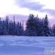 Images raid en  Laponie