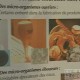 Exposition sur Louis Pasteur