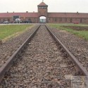 Auschwitz